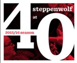 Steppenwolf at 40 logo